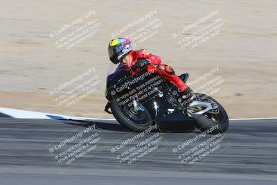 media/Feb-04-2024-SoCal Trackdays (Sun) [[91d6515b1d]]/4-Bowl Backside (11am)/